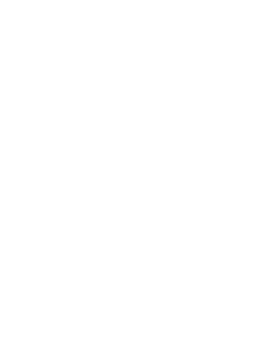 norgald_logo